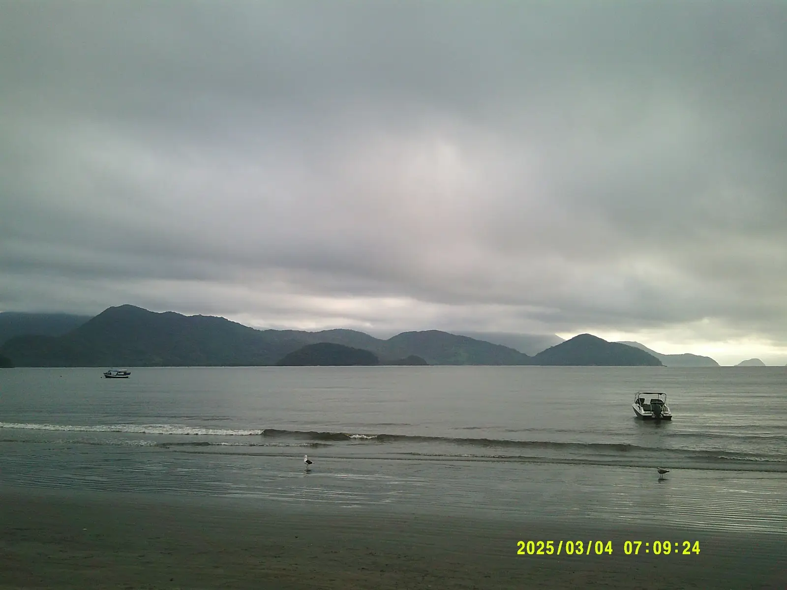A beach with calm waves, a boat, seagull, and more on a gloomy day at Ubatuba