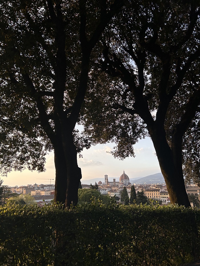 A view from Piazzale Michelangelo in Florence, Italy framed by trees