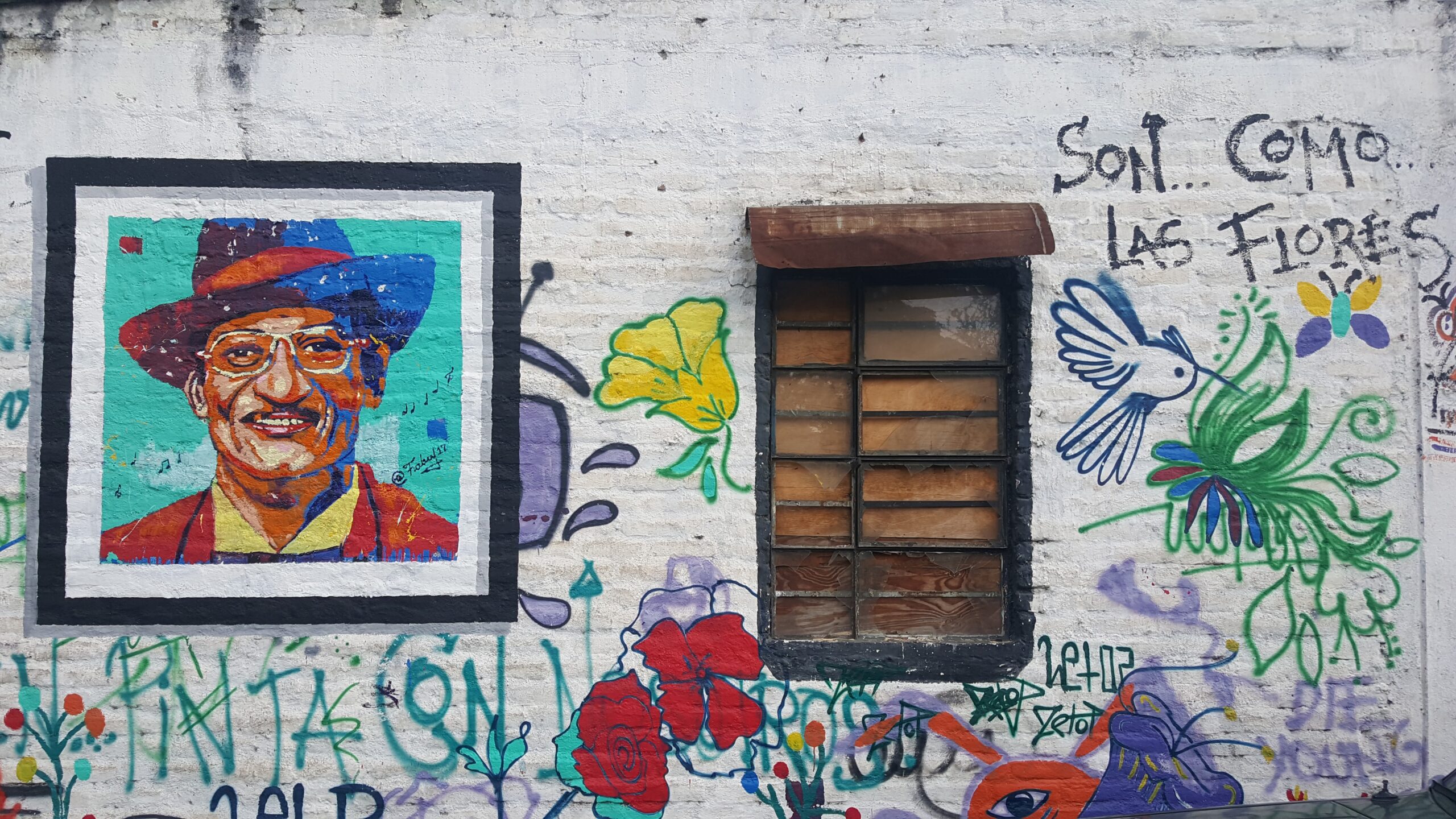 Lana Stojadinovic - Fall 2023