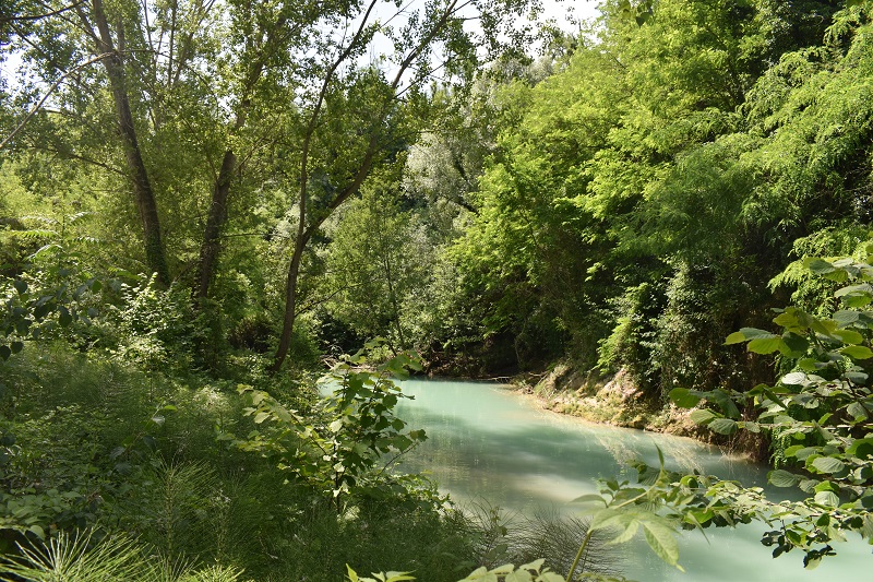 Turquoise waters and surrounding trees and greenery near Colle Val d’Elsa