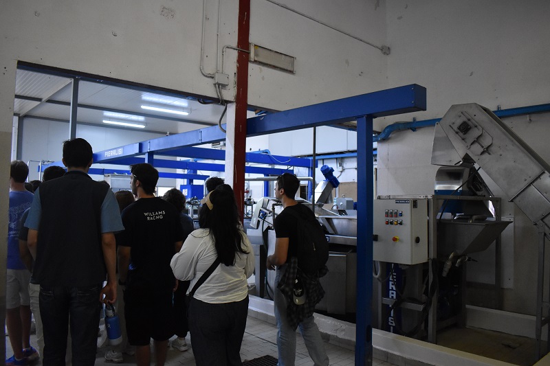 A group of CET Siena students standing by machinery at a Olive Oil Mill