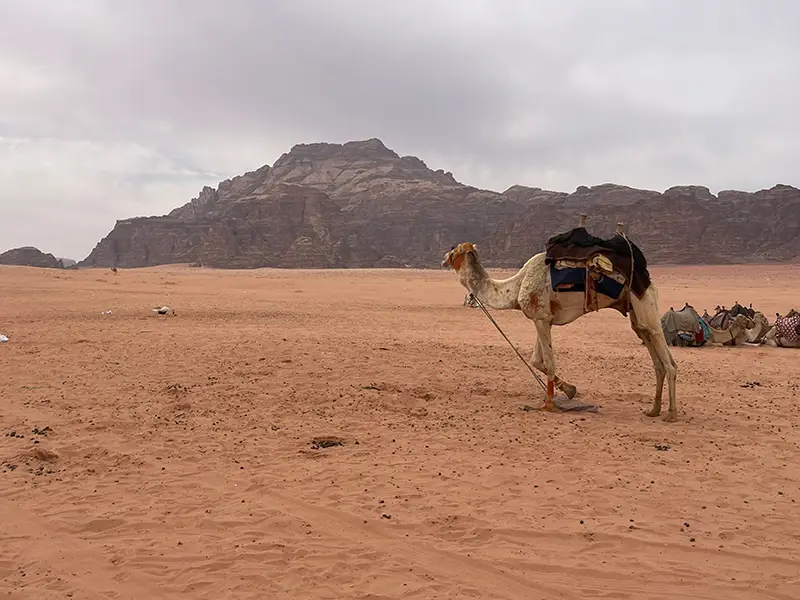 Ismail Khalid - Summer 2025