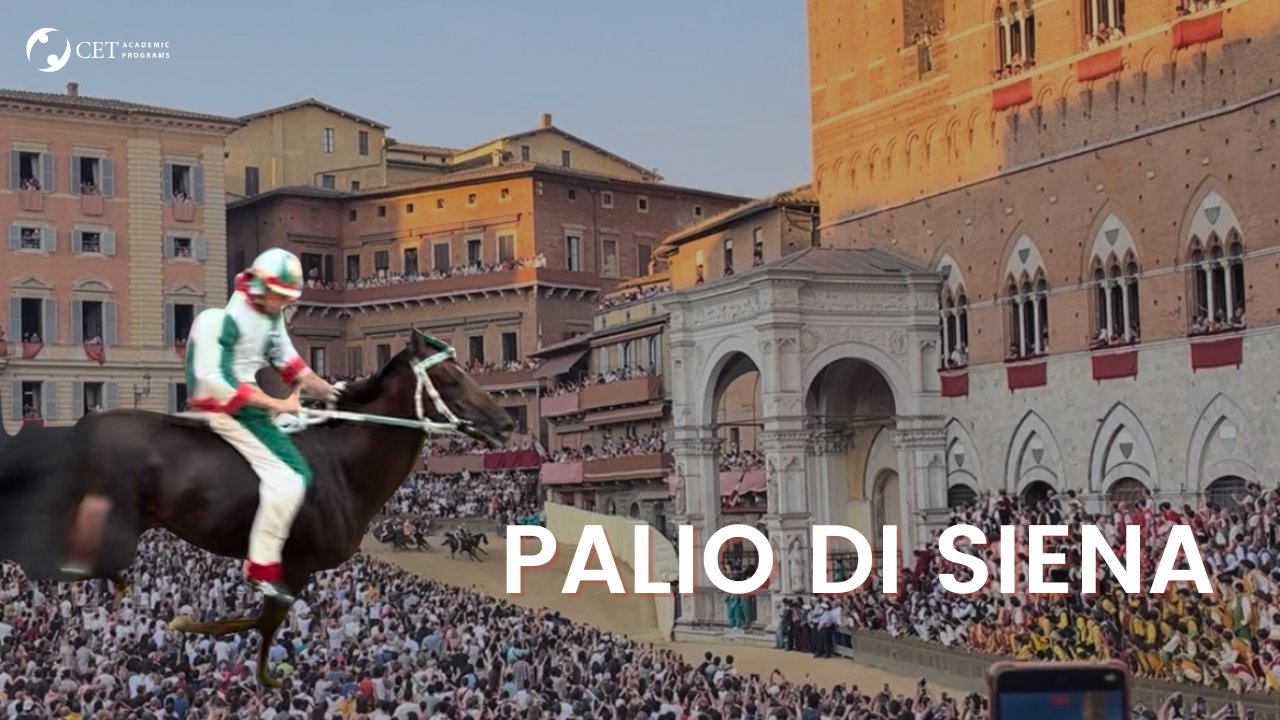 Palio di Siena Vlog