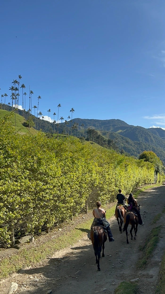 A group of three people riding horses in Cocora Valley in Colombia