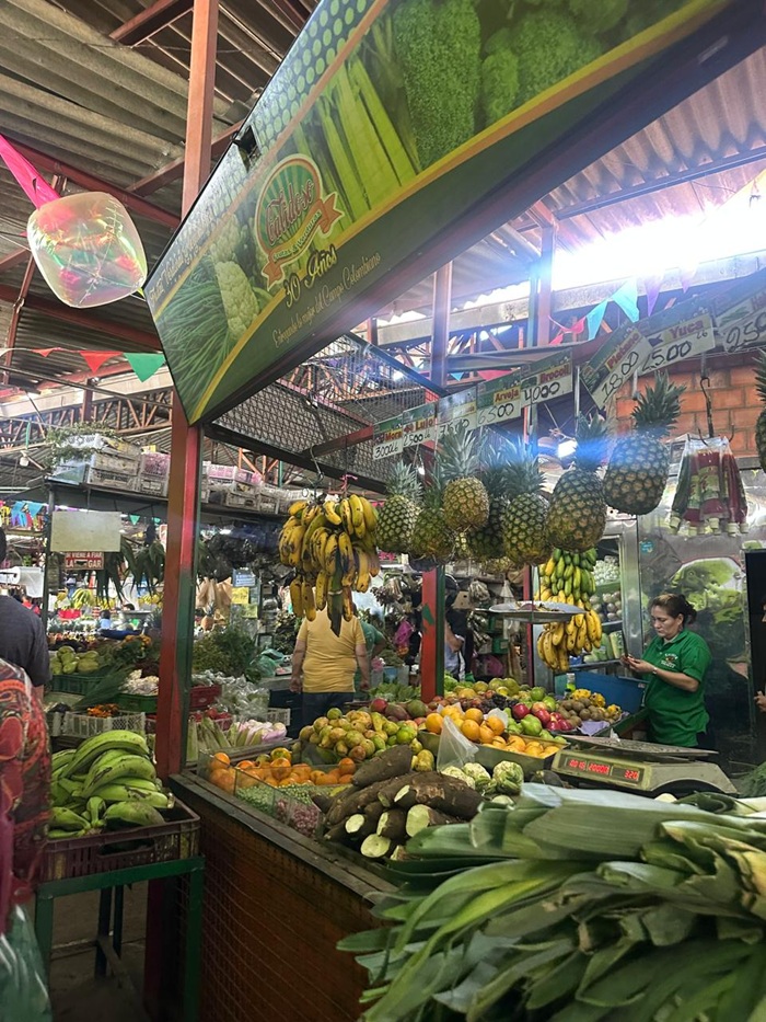 The inside of Galeria Alameda in Colombia with fresh fruits handing from a stall to more produce displayed beneath