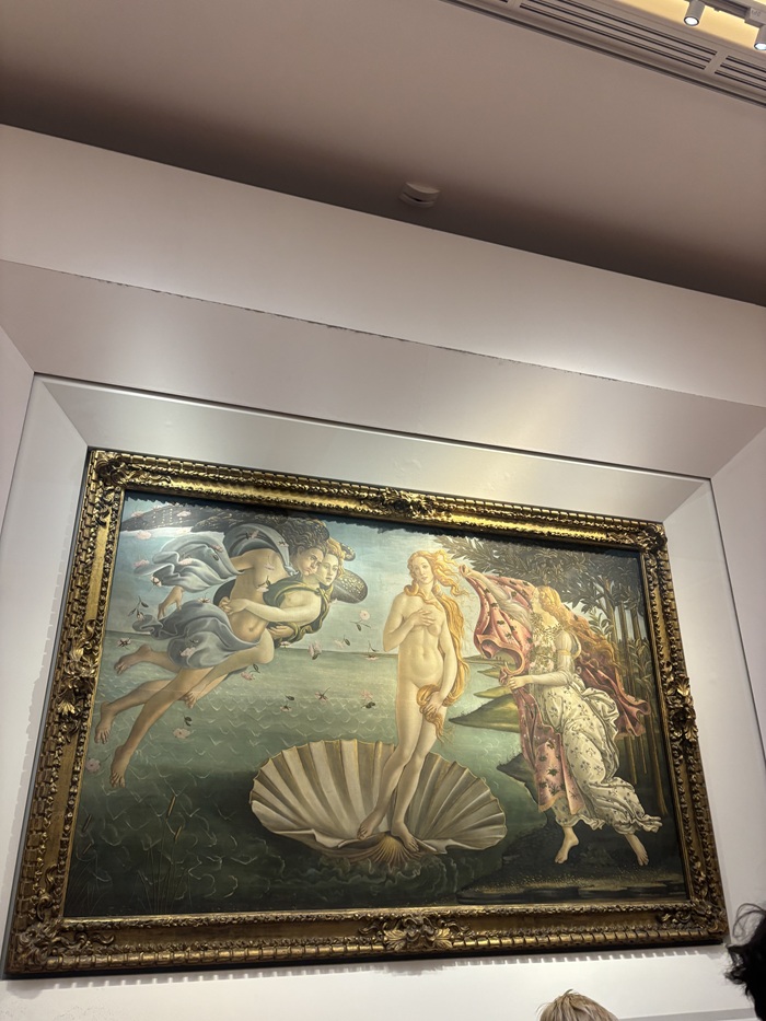 A view of the Birth of Venus painting in the Uffizi Museum