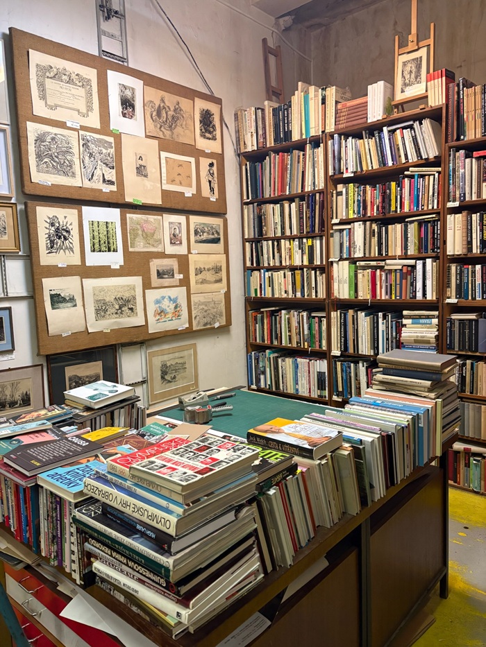 A store with a lot of books on shelves in Prague