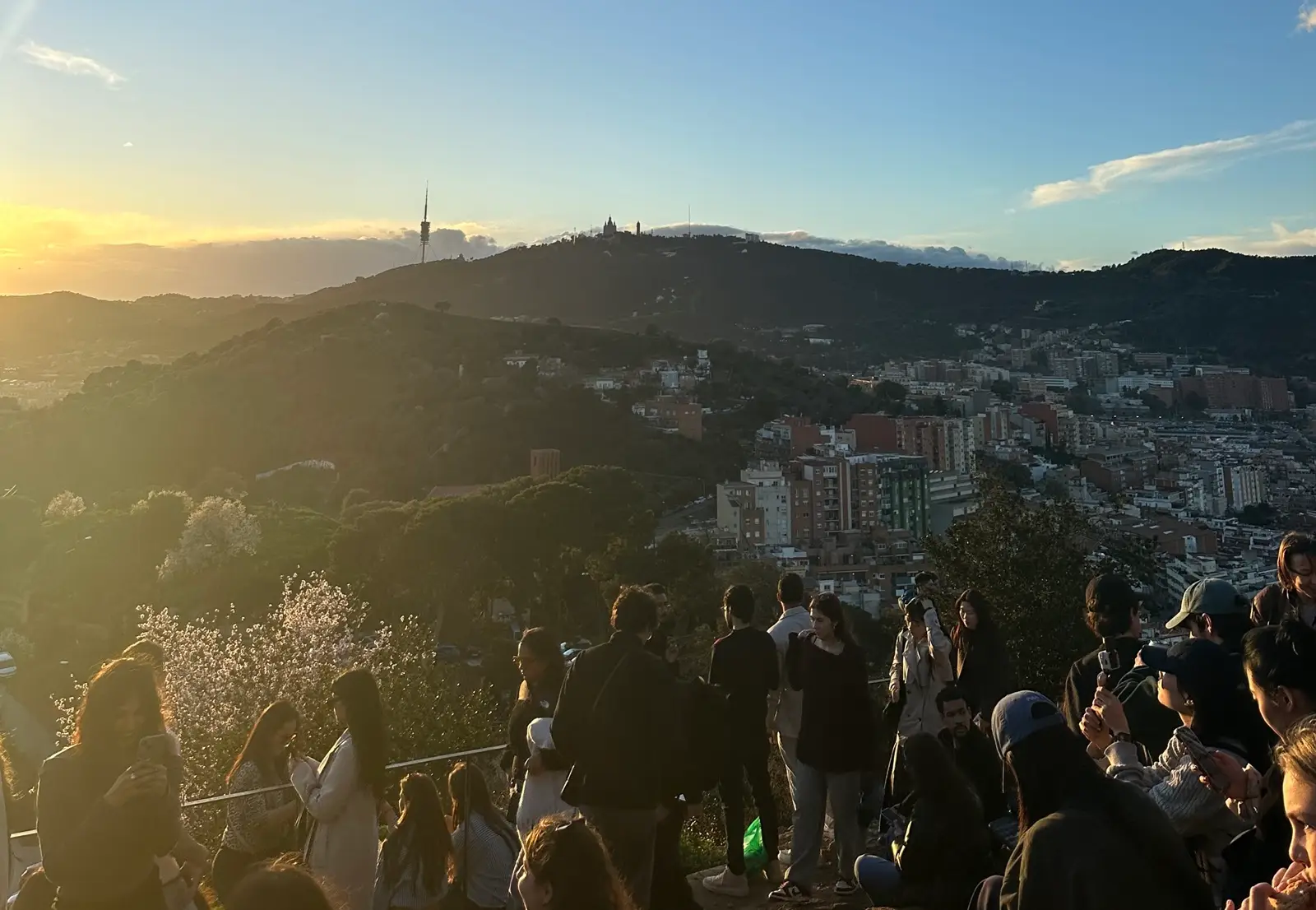 Best Things to Do in Barcelona for Study Abroad Students