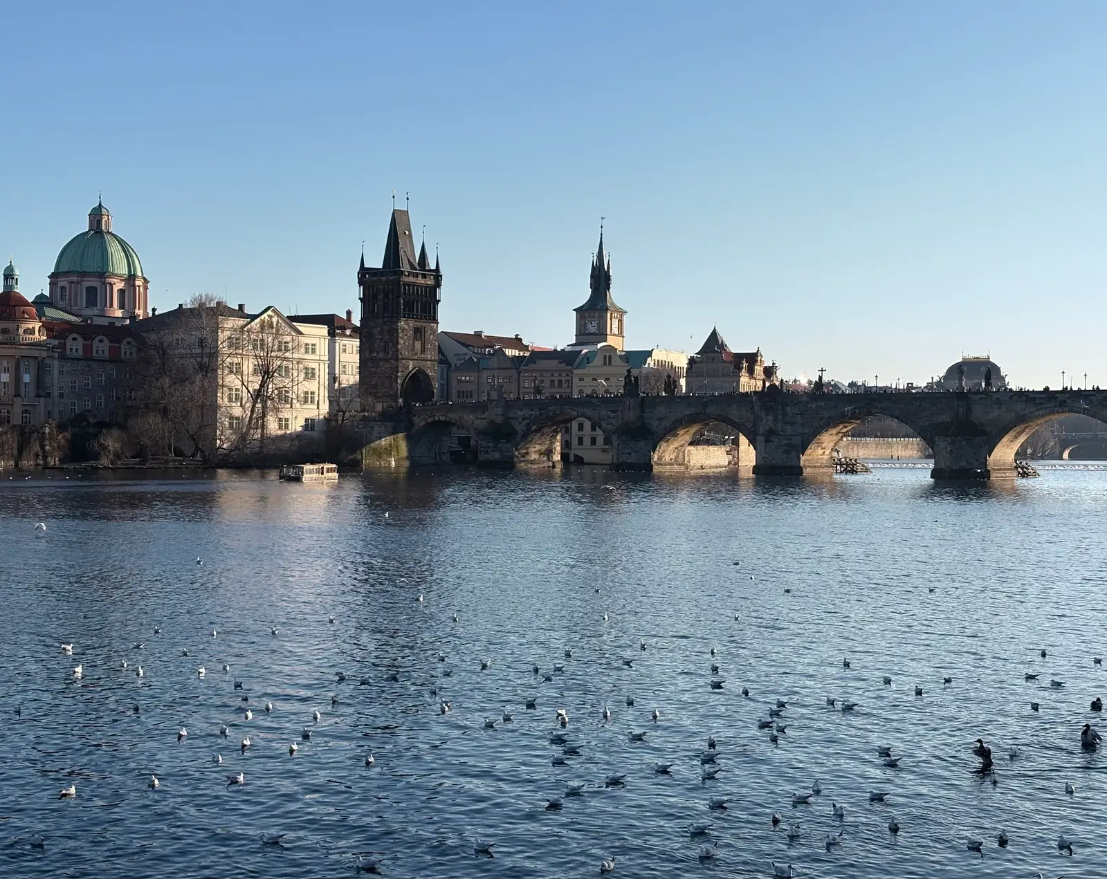 View of the Charles Bridge and birds on the water on a cloudless day