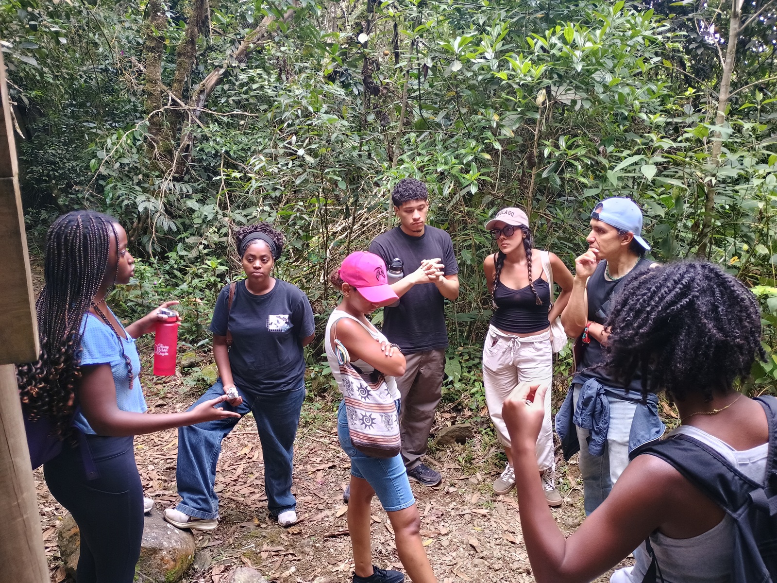 CET Colombia students within the trees of Los Farallones National Park while on a field trip