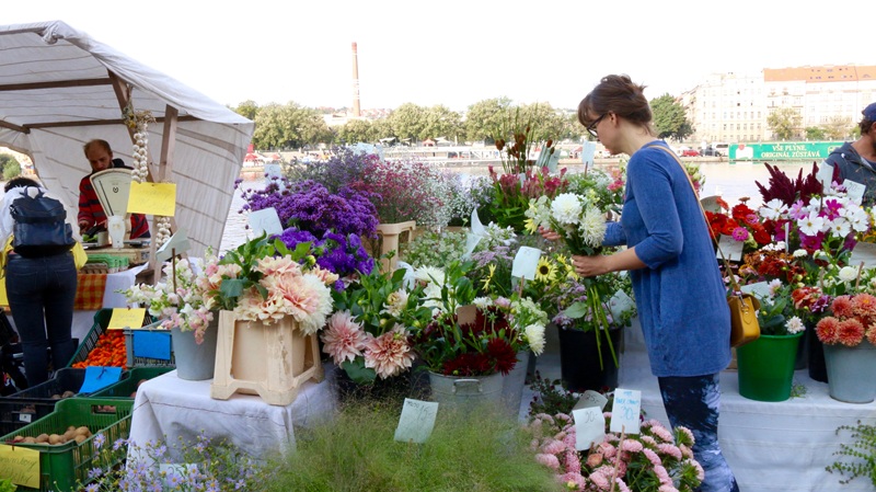 A vendor stall at the Náplavka Farmers' Market in Prague, featuring a wide variety of fresh, locally grown flowers