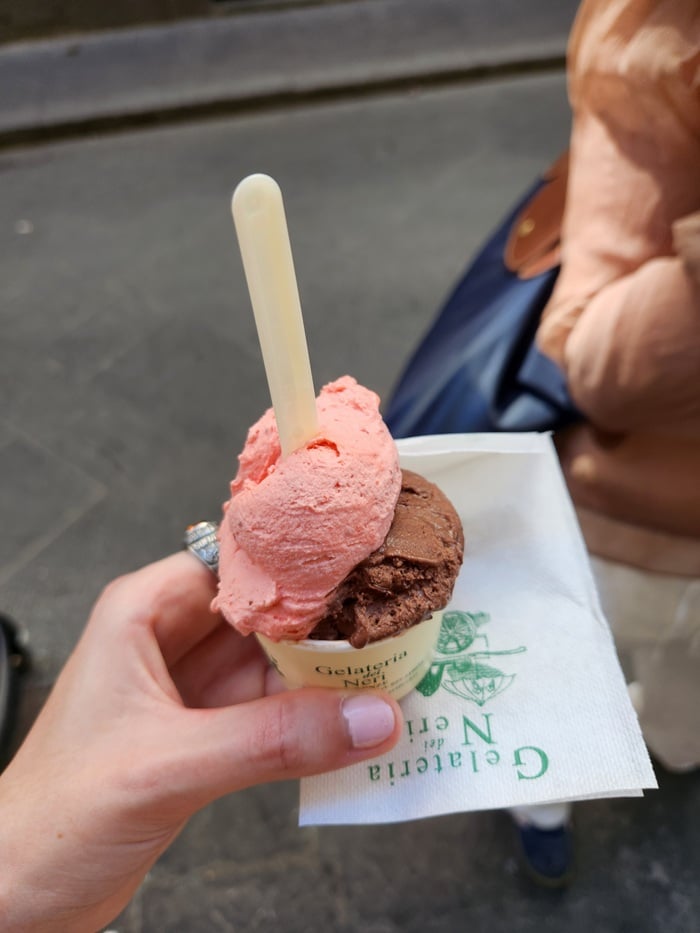 A cup of gelato from Gelateria dei Neri in Florence, Italy with a combination of strawberry and dark chocolate gelato.
