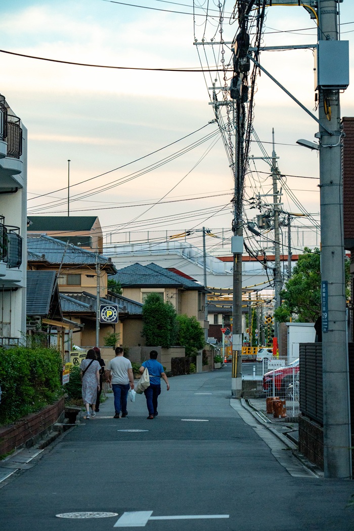 A typical residential street scene in Japan with low-rise houses and a dense network of overhead utility cables.