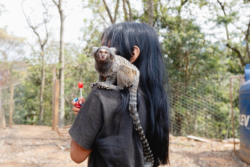 A small monkey perched on the shoulder of a child with long black hair.