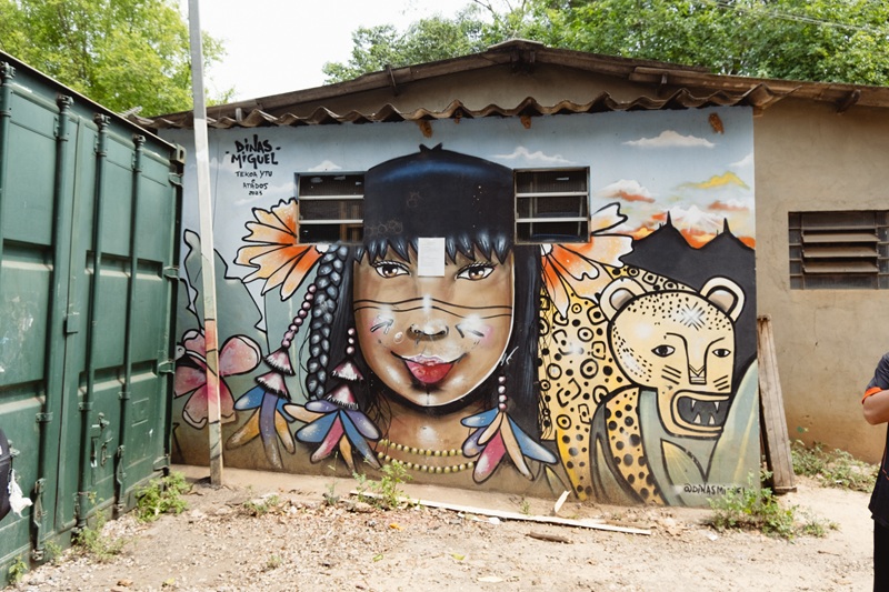 A vibrant mural of a woman's head and a cheetah located in Tekoa Ytú (Waterfall Village), an indigenous community situated around the Jaraguá peak in São Paulo, Brazil