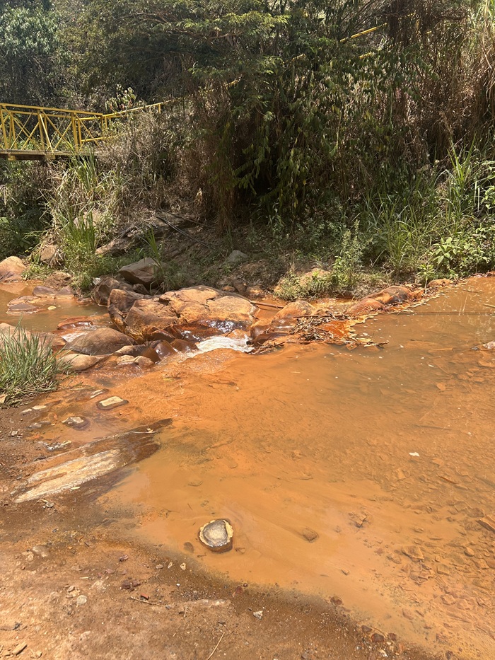Shallow brown river surrounded by rocks and vegetation.