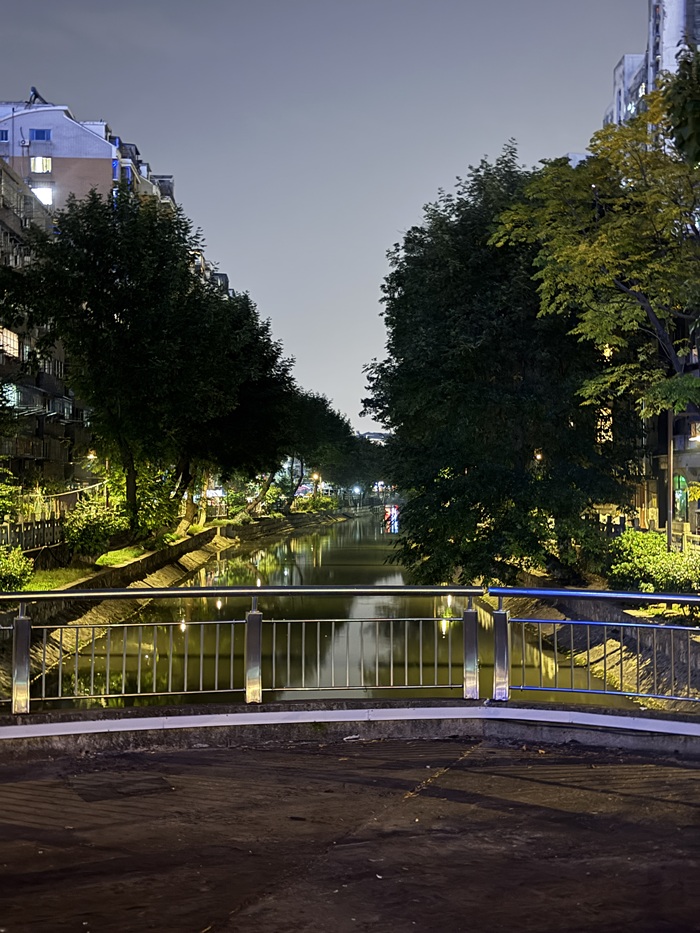 Tree-lined canal illuminated at night in Nanjing