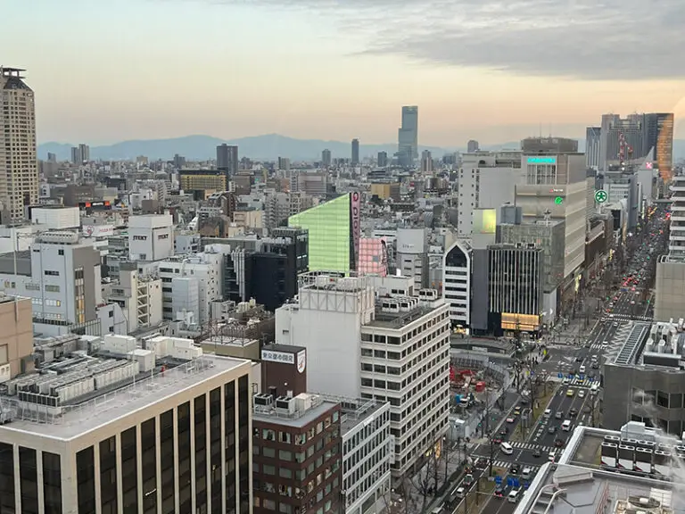 view of osaka from above
